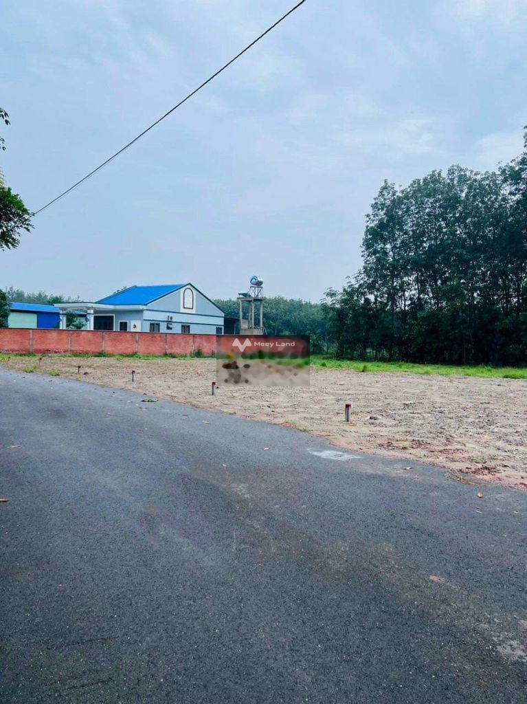 Bán đất thổ cư sổ hồng riêng giá 500 triệu, diện tích 500 m2, tại Bàu Bàng, Bình Dương-03