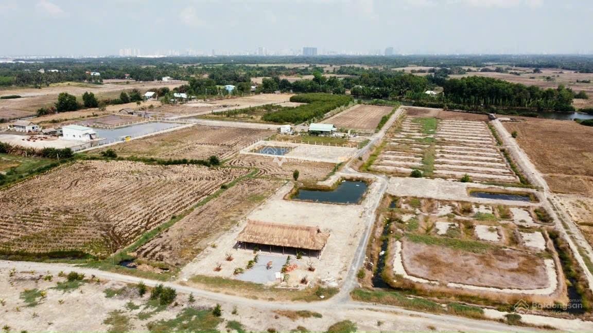 Bán đất đường ô tô giá 2,47 tỷ, diện tích 1300 m2, tại Phước Khánh, Nhơn Trạch, Đồng Nai-02