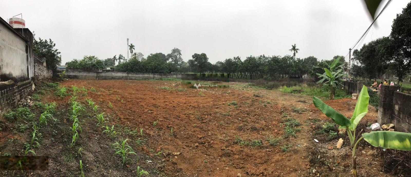 Bán lô đất tại Phú Thành, Lạc Thủy, Hoà Bình. Diện tích 1372m2, giá 3,7 tỷ-03