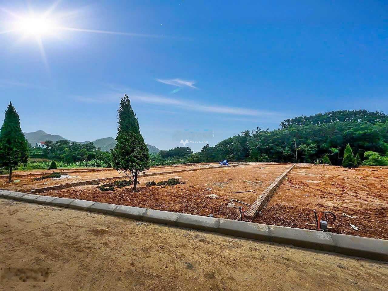 Bán đất tại Yên Bình, Thạch Thất. Diện tích 354m2, giá 4,25 tỷ-01