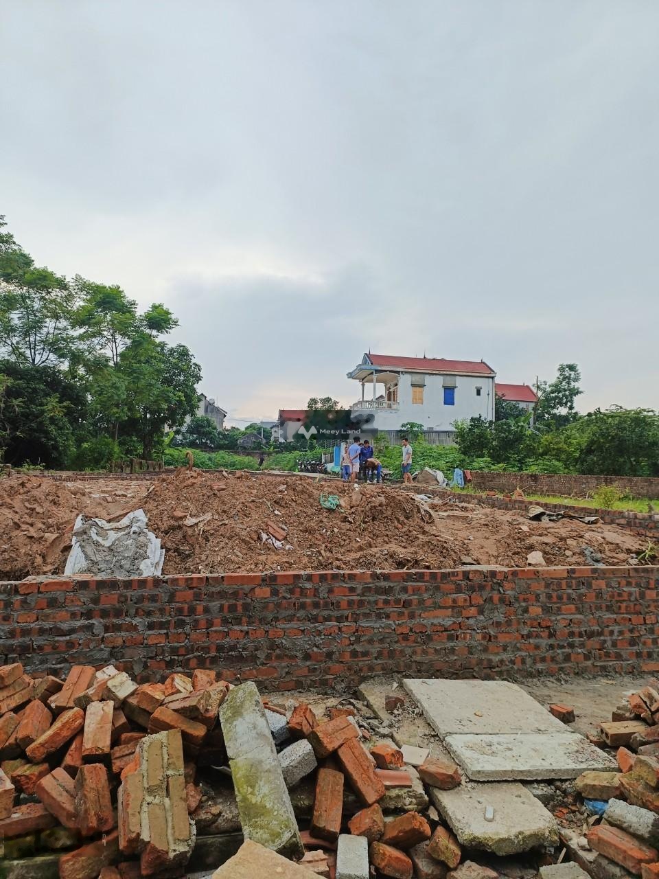 Bán đất tại Phù Linh, Sóc Sơn. Diện tích 81,2m2, giá 1,38 tỷ-01