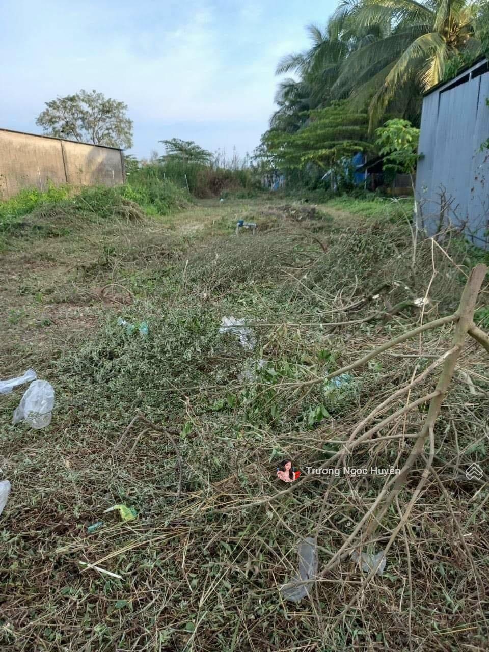 Bán đất thổ cư giá 800 triệu, diện tích 120 m2, tại Nguyễn Kim Cương, xã Tân Thạnh Tây, Củ Chi