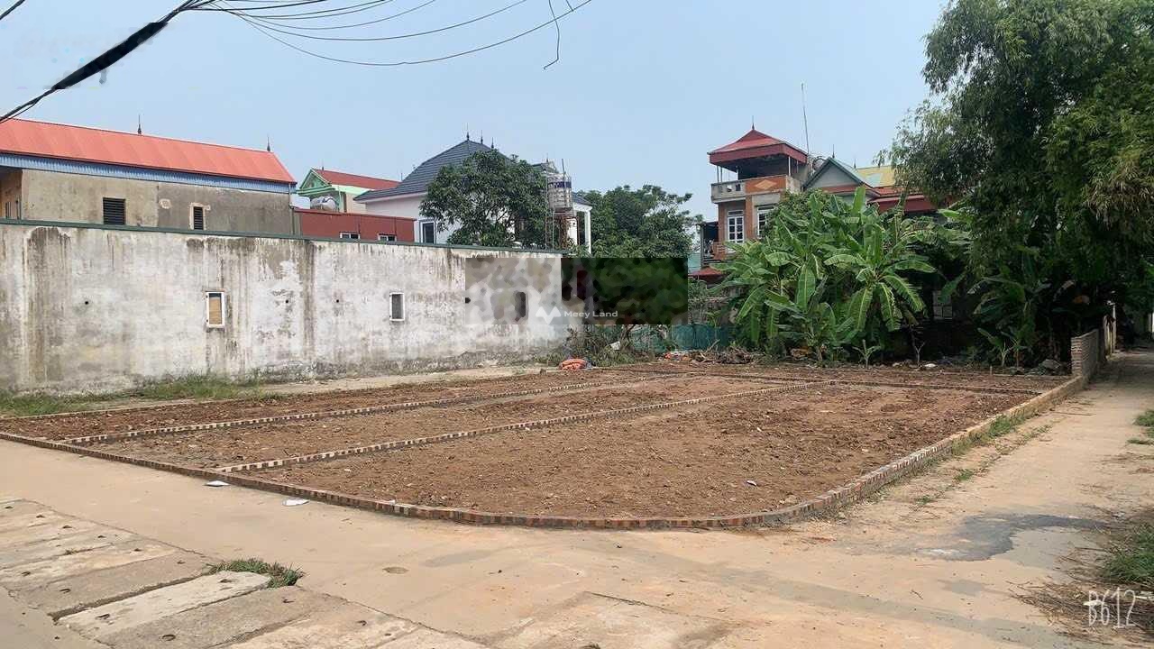 Bán đất tại Quang Minh, Mê Linh. Diện tích 52,8m2, giá 1,85 tỷ-02
