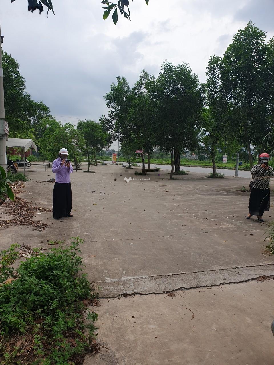 Bán đất phân lô tại Nội Hoàng, Yên Dũng, Bắc Giang. Diện tích 72m2, giá 1,95 tỷ