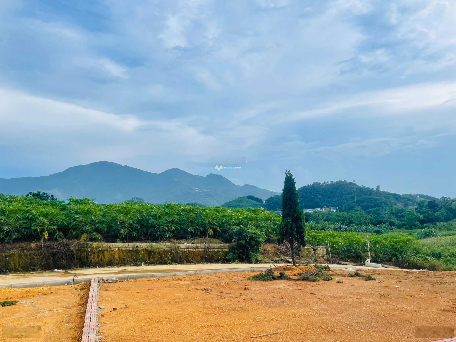 Bán đất tại Yên Bình, Thạch Thất. Diện tích 363m2, giá 4,17 tỷ-02