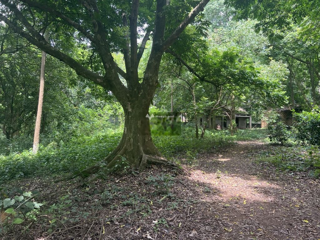 Bán đất tại Lương Sơn, Hòa Bình. Diện tích 5000m2, giá 12,5 tỷ-02