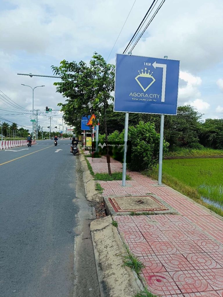 Bán đất giá 2,25 tỷ, diện tích 800 m2, tại Thủ Thừa, Long An-01