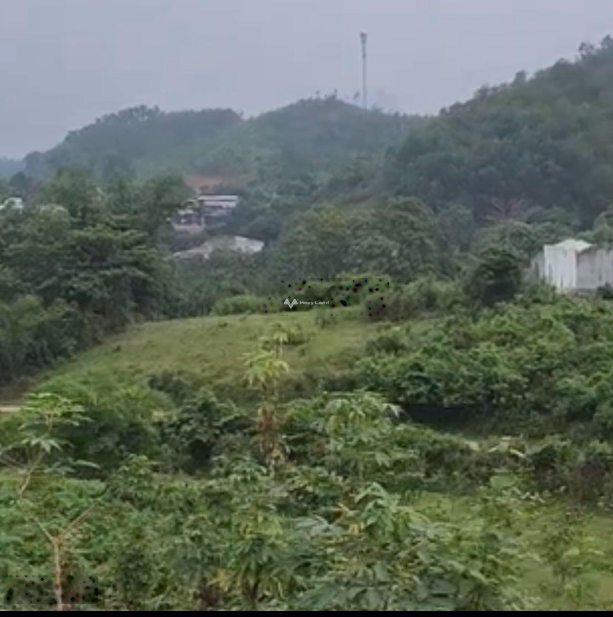 Bán đất tại Kim Bôi, Hoà Bình. Diện tích 500m2, giá thương lượng