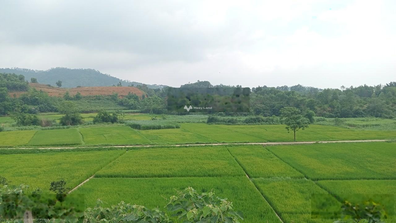 Cần bán đất tại Yên Bài, Ba Vì. Diện tích 5435m2, giá thương lượng-02