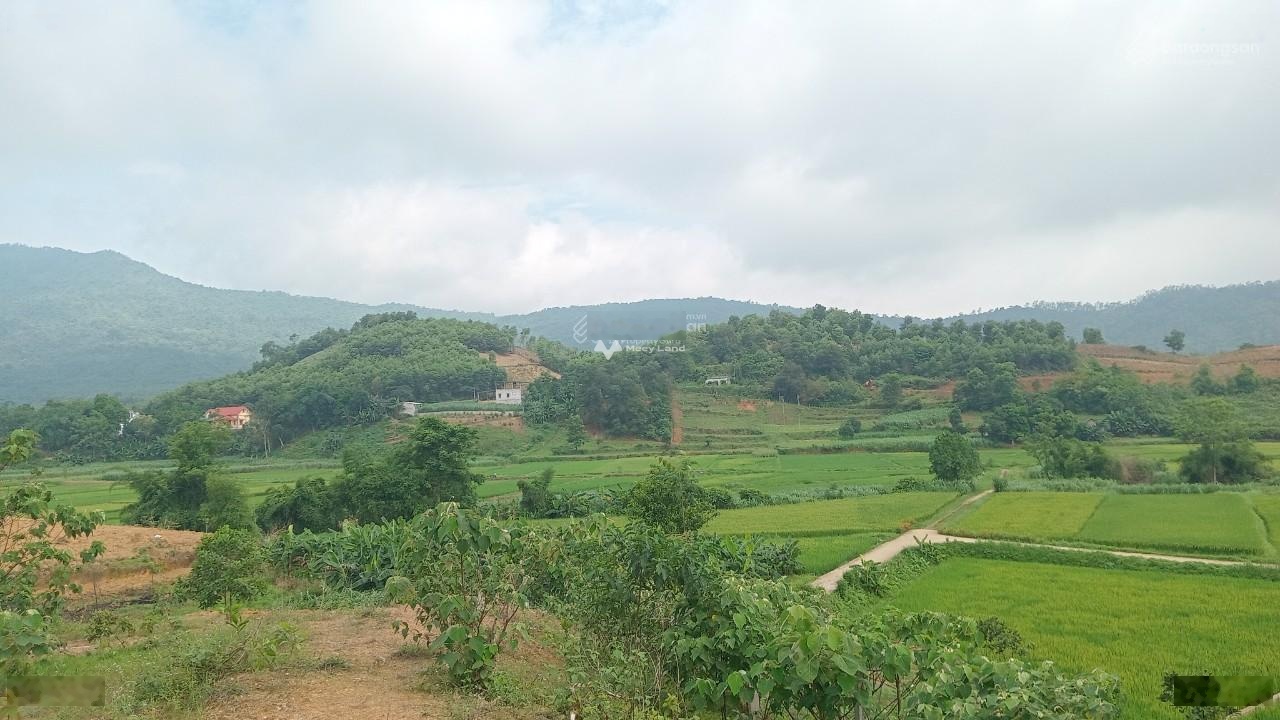 Cần bán đất tại Yên Bài, Ba Vì. Diện tích 5435m2, giá thương lượng-03