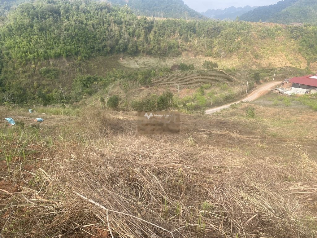 Bán đất tại Chiềng Sơn, Mộc Châu, Sơn La. Diện tích 170m2, giá 500 triệu-01