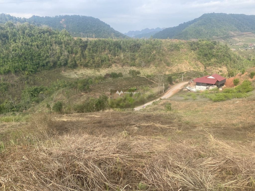 Bán đất tại Chiềng Sơn, Mộc Châu, Sơn La. Diện tích 170m2, giá 500 triệu-03
