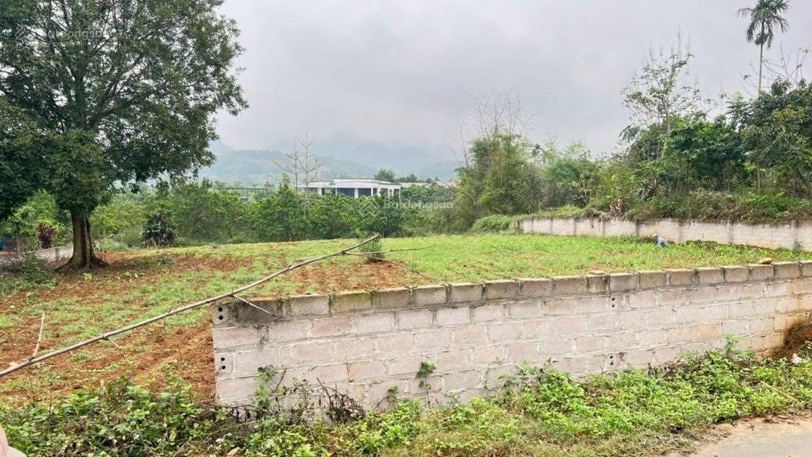 Cần bán lô đất nghỉ dưỡng tại Yên Bài, Ba Vì. Diện tích 1612,8m2, giá 64,51 tỷ-02