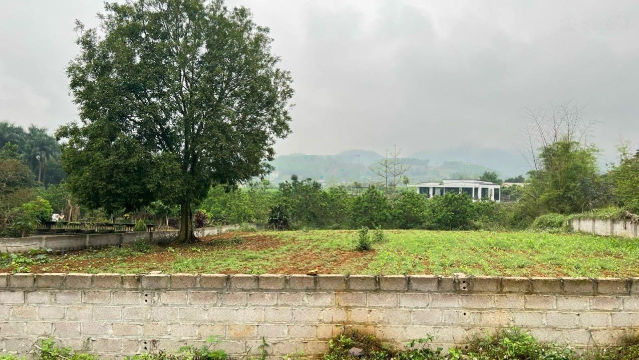 Cần bán lô đất nghỉ dưỡng tại Yên Bài, Ba Vì. Diện tích 1612,8m2, giá 64,51 tỷ-01