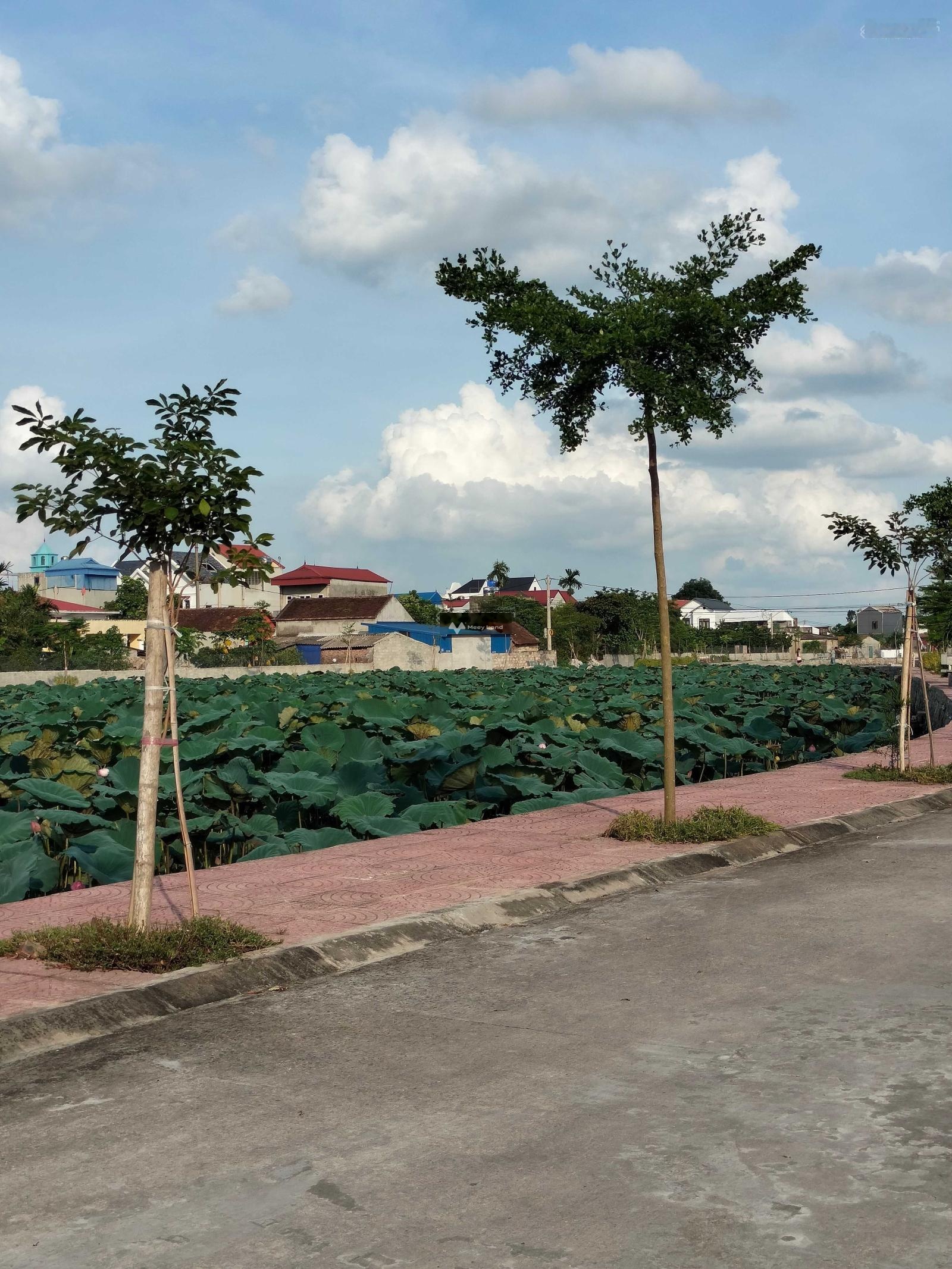 Bán đất tại Tảo Dương Văn, Ứng Hoà. Diện tích 80m2, giá thương lượng-02