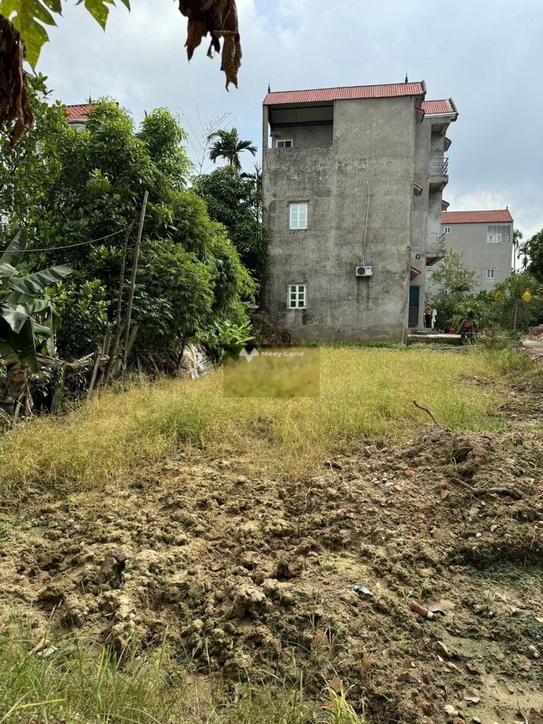 Bán mảnh đất tại Dân Sinh, Quang Minh, Mê Linh. Diện tích 72m2, giá 1,97 tỷ-03