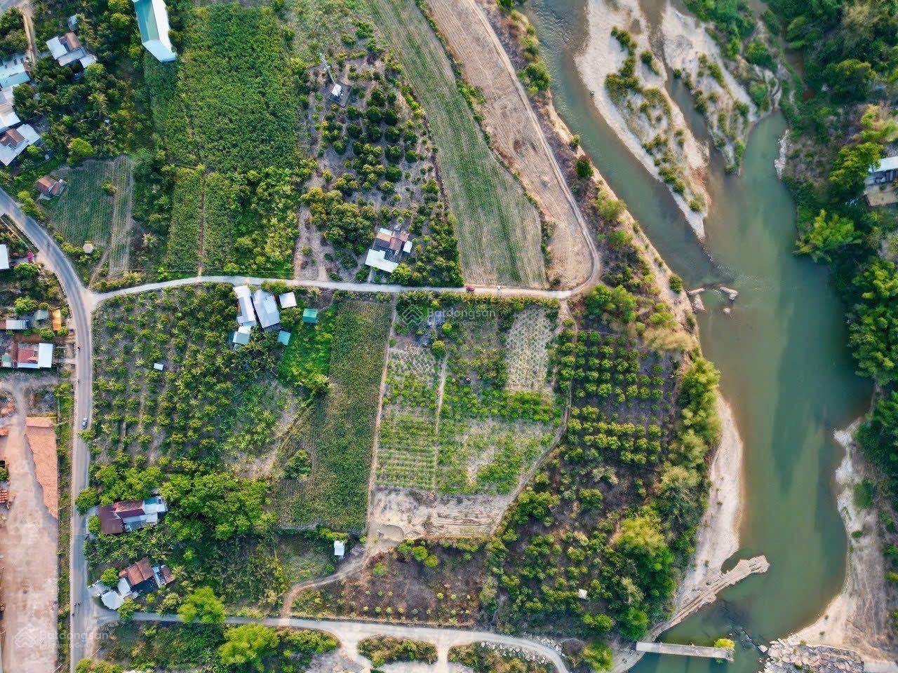 Bán đất có vườn cây xã Diên Thọ, huyện Diên Khánh, giá tốt-02