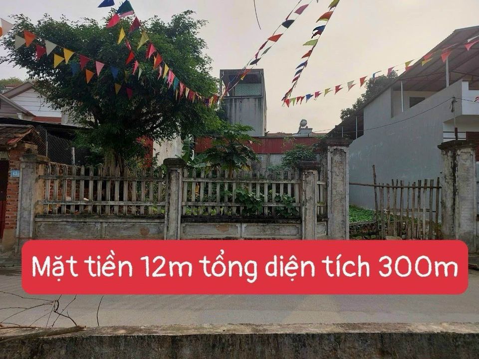 Bán nhà riêng huyện Yên Lạc tỉnh Vĩnh Phúc giá 3 tỷ-01
