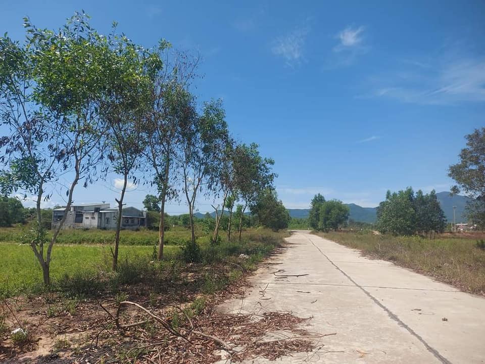 Cần bán lô đất tại thị trấn Ngô Mây, huyện Phù Cát, giá 470 triệu-01