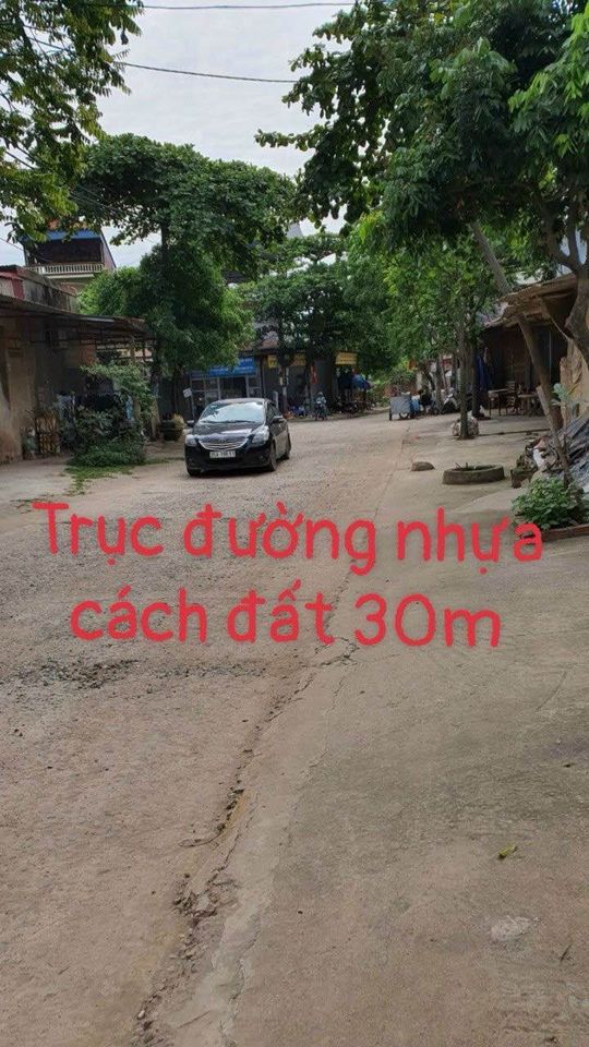 Chưa đến 1 tỷ bạn đã sở hữu lô đất 73m2 tại Thắng Trí, Minh Trí, Sóc Sơn-03