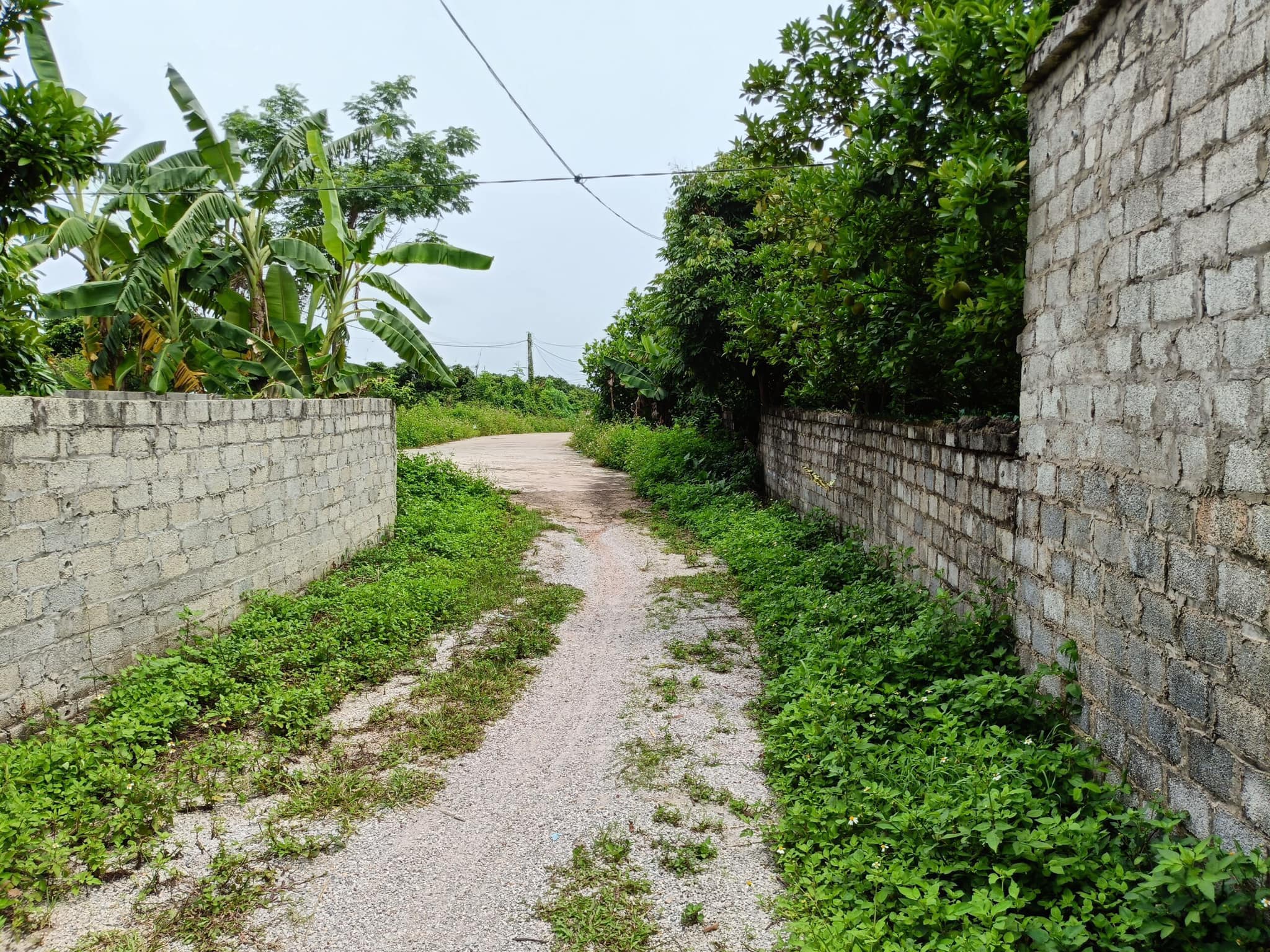 Bán đất huyện Lục Ngạn tỉnh Bắc Giang xung quanh xây toàn bộ tường bao, đường xe tải