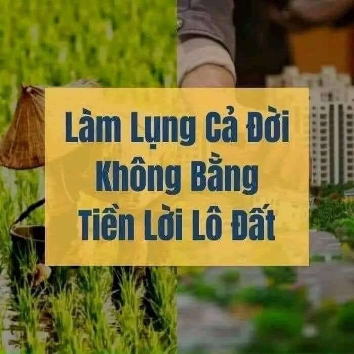 Bán đất diện tích 90m2 huyện Tĩnh Gia tỉnh Thanh Hóa-03