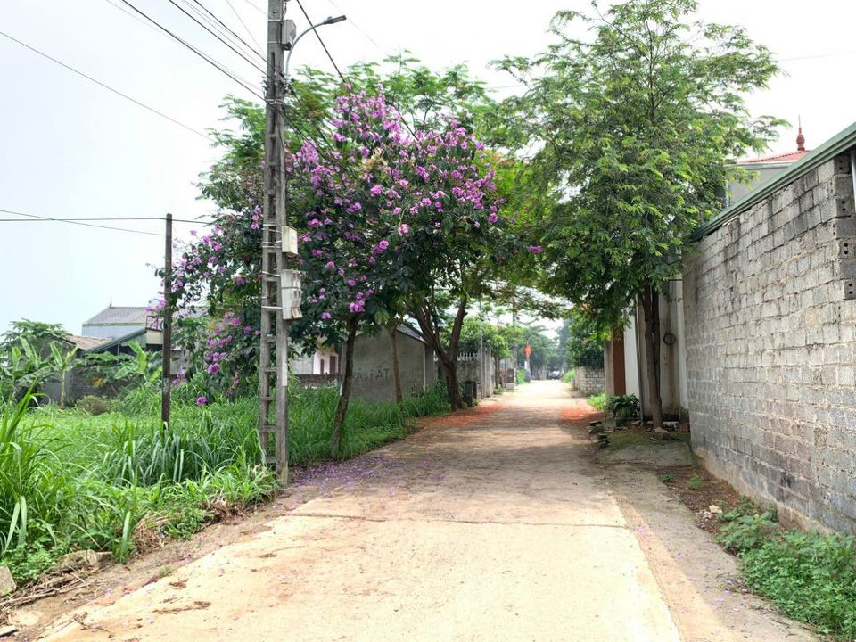 Bán đất huyện Quốc Oai thành phố Hà Nội-02