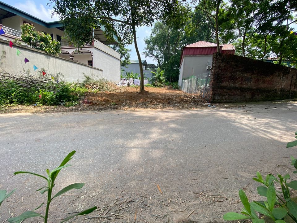 Bán đất 99m2, mặt tiền 6m huyện Tam Dương tỉnh Vĩnh Phúc-02
