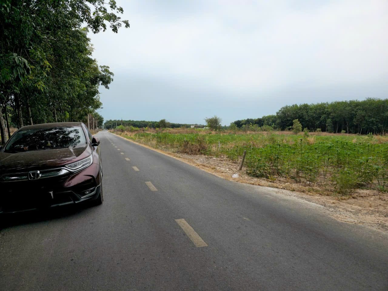 Bán đất huyện Bàu Bàng, đường nhựa xe công tránh nhau, thông các tỉnh
