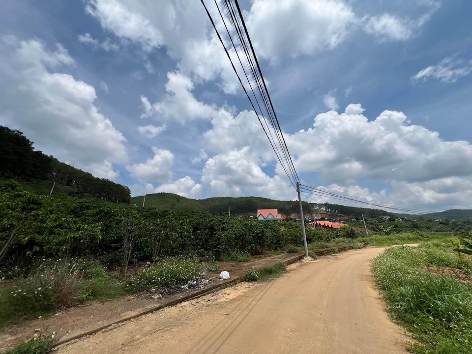 Bán đất Lâm Hà, Lâm Đồng cách đường nhựa 725 tầm hơn 300 mét-01