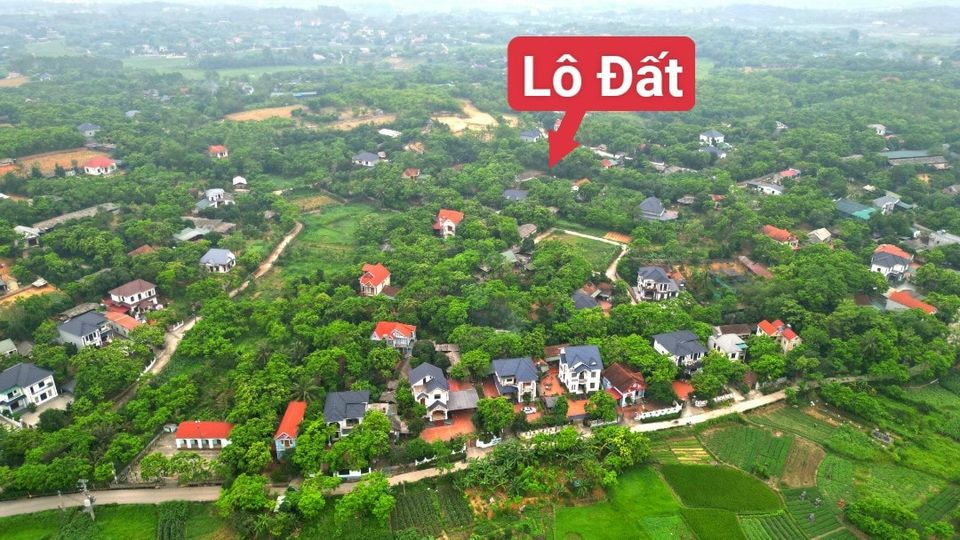 Bán đất huyện Tam Dương tỉnh Vĩnh Phúc giá 300 triệu-02