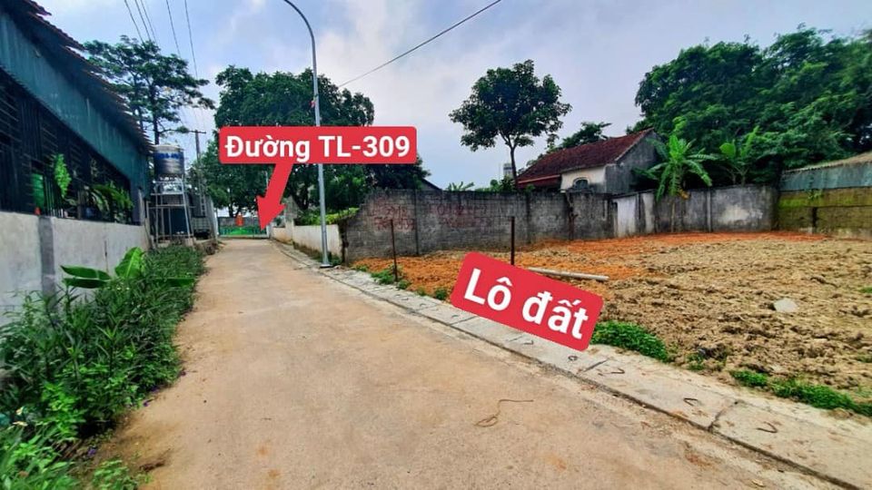 Lô đất 132m2 mặt tiền 7,5m Thị trấn Kim Long - Tam Dương - Vĩnh Phúc-01