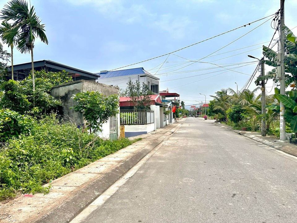 Chính chủ gửi bán lô đất mặt đường nhựa 8m tại Cẩm La, Thanh Sơn-02