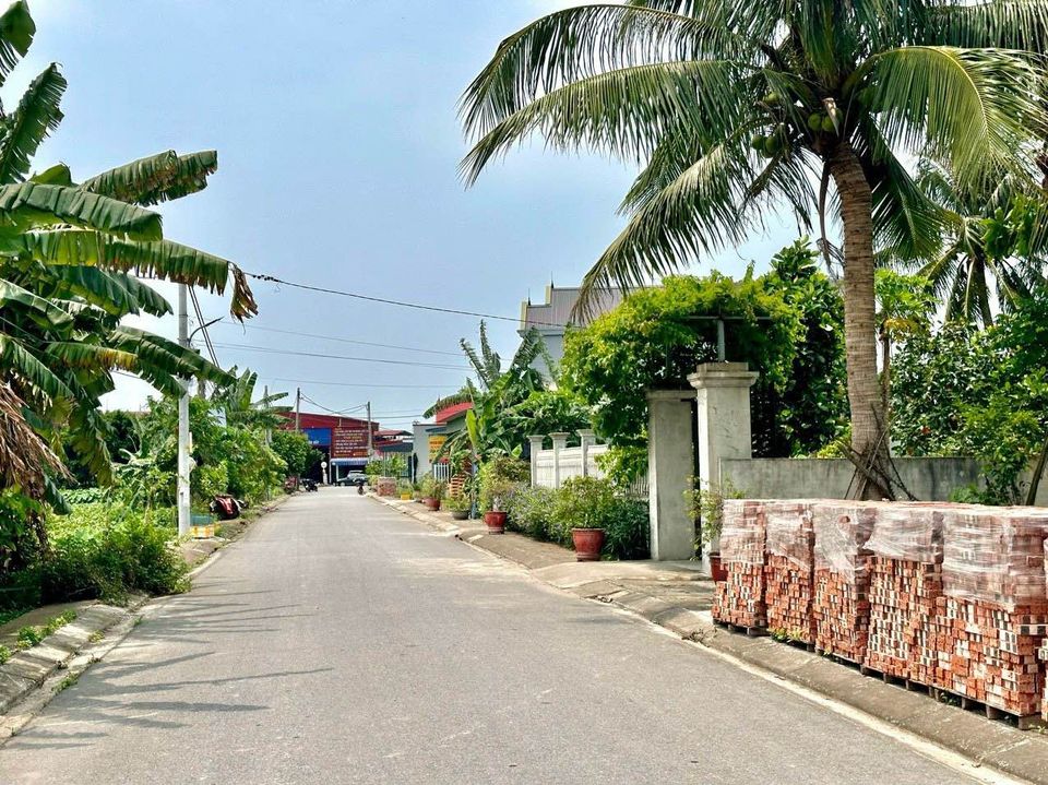 Chính chủ gửi bán lô đất mặt đường nhựa 8m tại Cẩm La, Thanh Sơn-03
