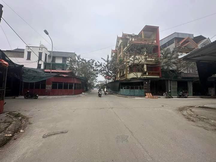 Bán kho bãi - nhà xưởng - khu công nghiệp thị xã Từ Sơn tỉnh Bắc Ninh giá 2,4 tỷ-02