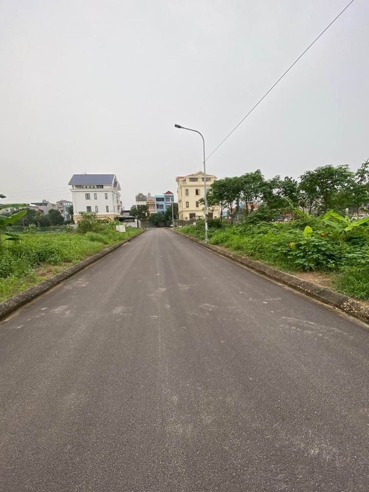 Bán đất thành phố Bắc Ninh tỉnh Bắc Ninh, giá 19 tỷ-03