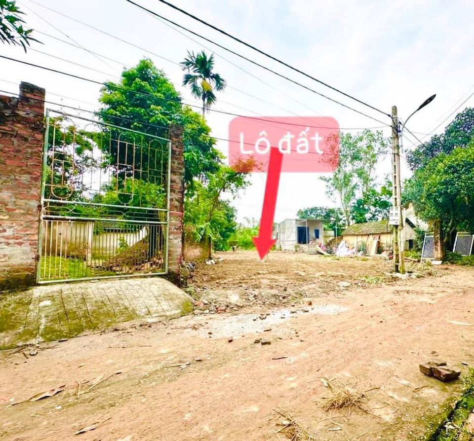 Bán đất huyện Tam Đảo tỉnh Vĩnh Phúc, giá 600 triệu-01