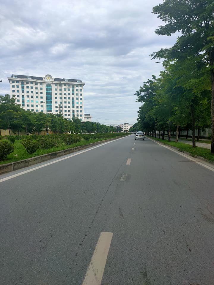 Mặt phố đường đôi rộng 50m - vỉa hè 5m - phố Trịnh Văn Bô kéo dài-01