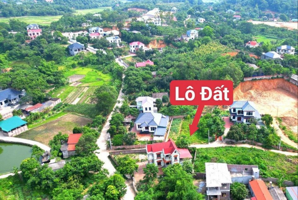 Bán đất huyện Tam Đảo tỉnh Vĩnh Phúc, giá 470 triệu-03