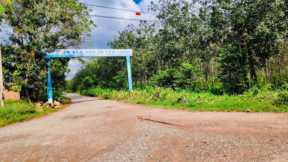Cần bán gấp lô đất tại ấp Tầm Lanh, xã Hiệp Thạnh, huyện Gò Dầu, Tây Ninh-03