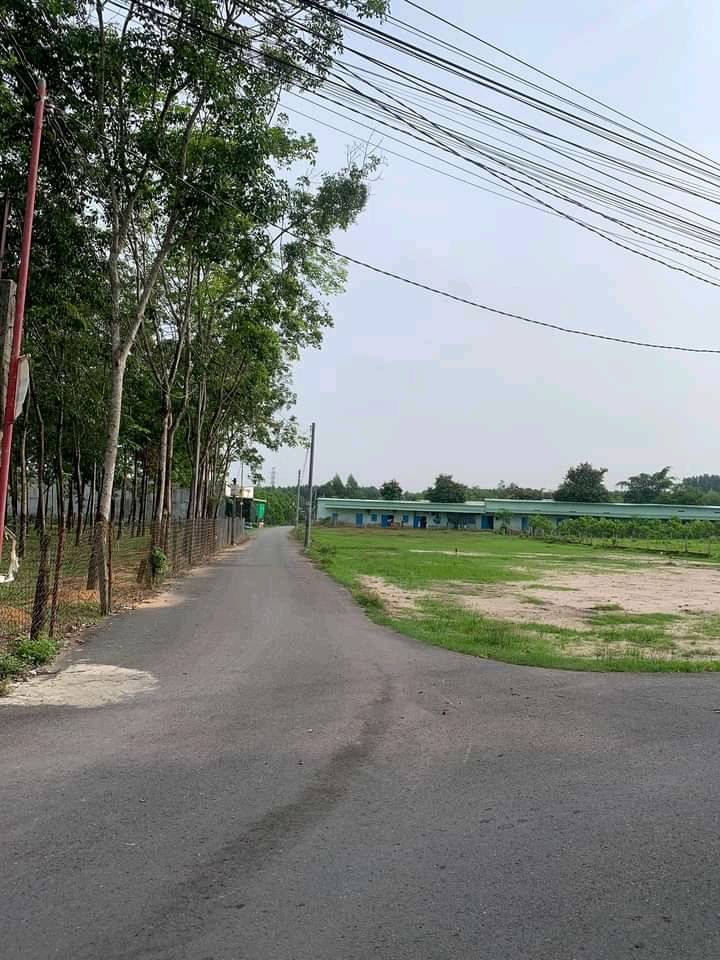 Bán đất 164m2, 2 mặt tiền huyện Long Thành