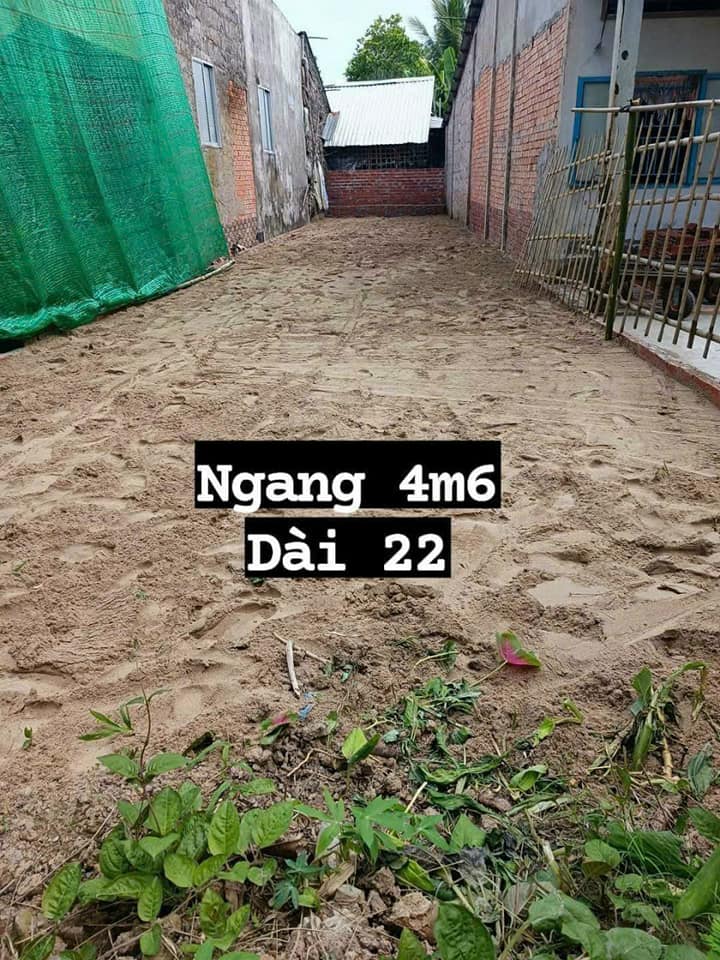 Bán đất tại Hậu Giang, Tân Bình. Diện tích 100m2, giá 650 triệu-03
