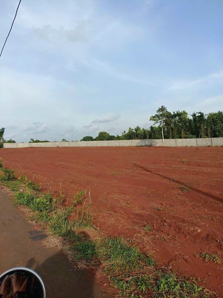 Bán lỗ 2 lô đất tại thị trấn Ngãi Giao, huyện Châu Đức-01