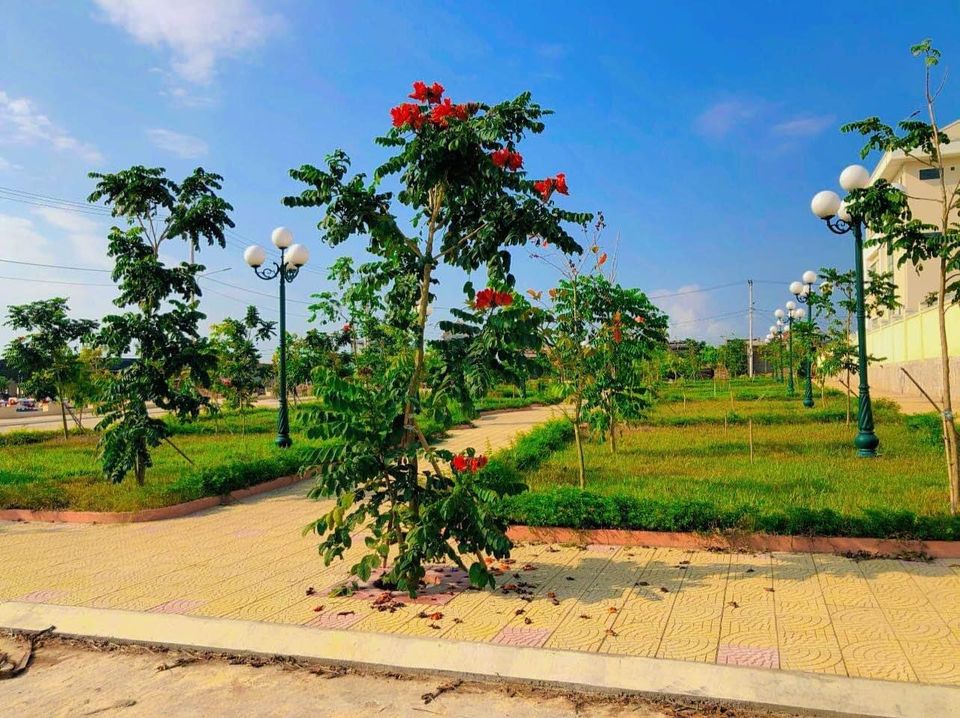 Bán ngay trung tâm Nhơn Hòa, Bình Định giá 750 triệu, diện tích 95 m2-01