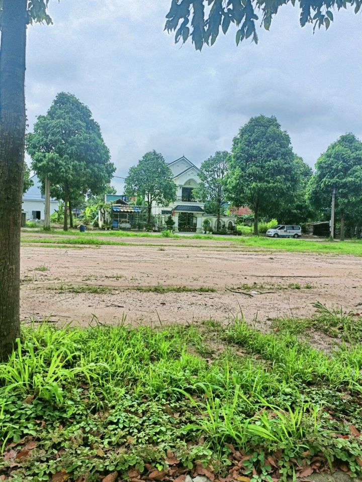 Bán đất ngay vị trí trung tâm Bàu Bàng, Bình Dương-01