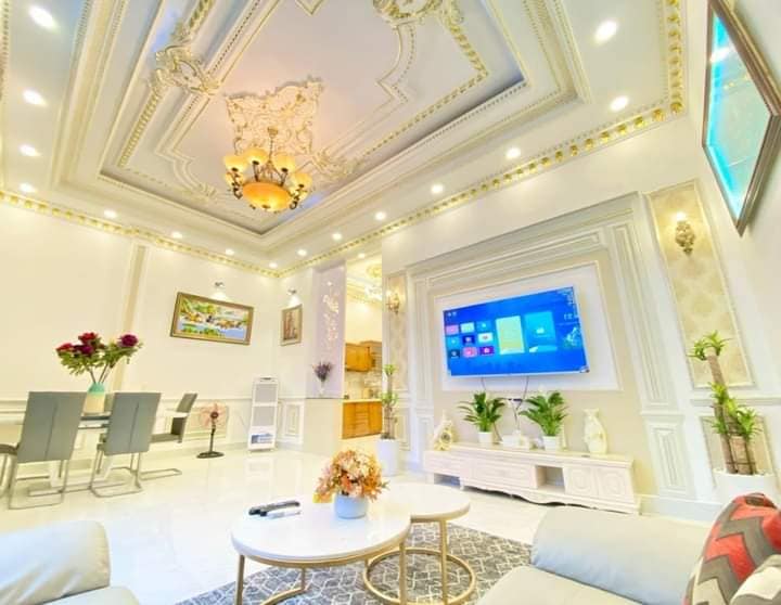 Villa mini mới đẹp ở ngay Huỳnh Tấn Phát, quận 7 giá 5,9 tỷ, diện tích 102.6 m2-01