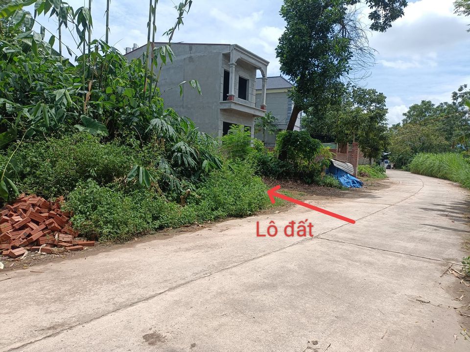 Bán lô đất siêu hấp dẫn tại huyện Tam Dương, Vĩnh Phúc, gần nhiều tiện ích, giá 1,3 tỷ-03