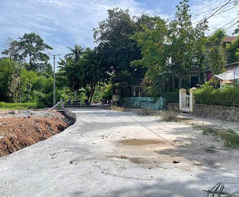 Bán đất nền, 112,6 m², Phường Đúc