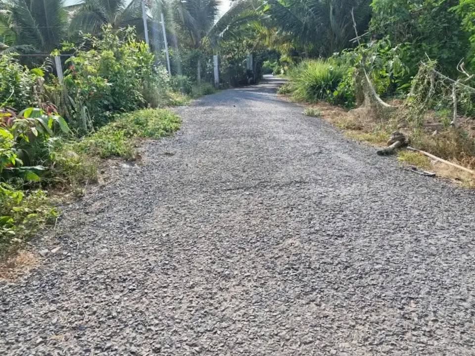 Nhà 600 triệu tại Mỹ Long, Cao Lãnh - An cư lạc nghiệp bên sông