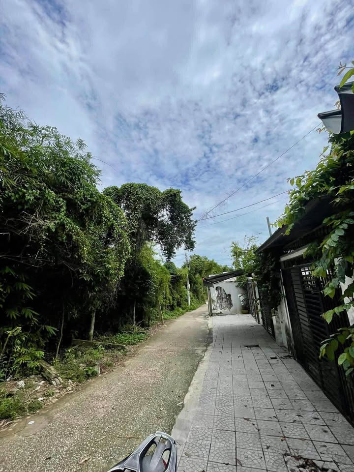 House for sale, 100 m², Thủy Xuân